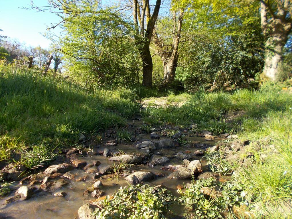 La Flocellière Terre Et Eau Gite Sevremont מראה חיצוני תמונה